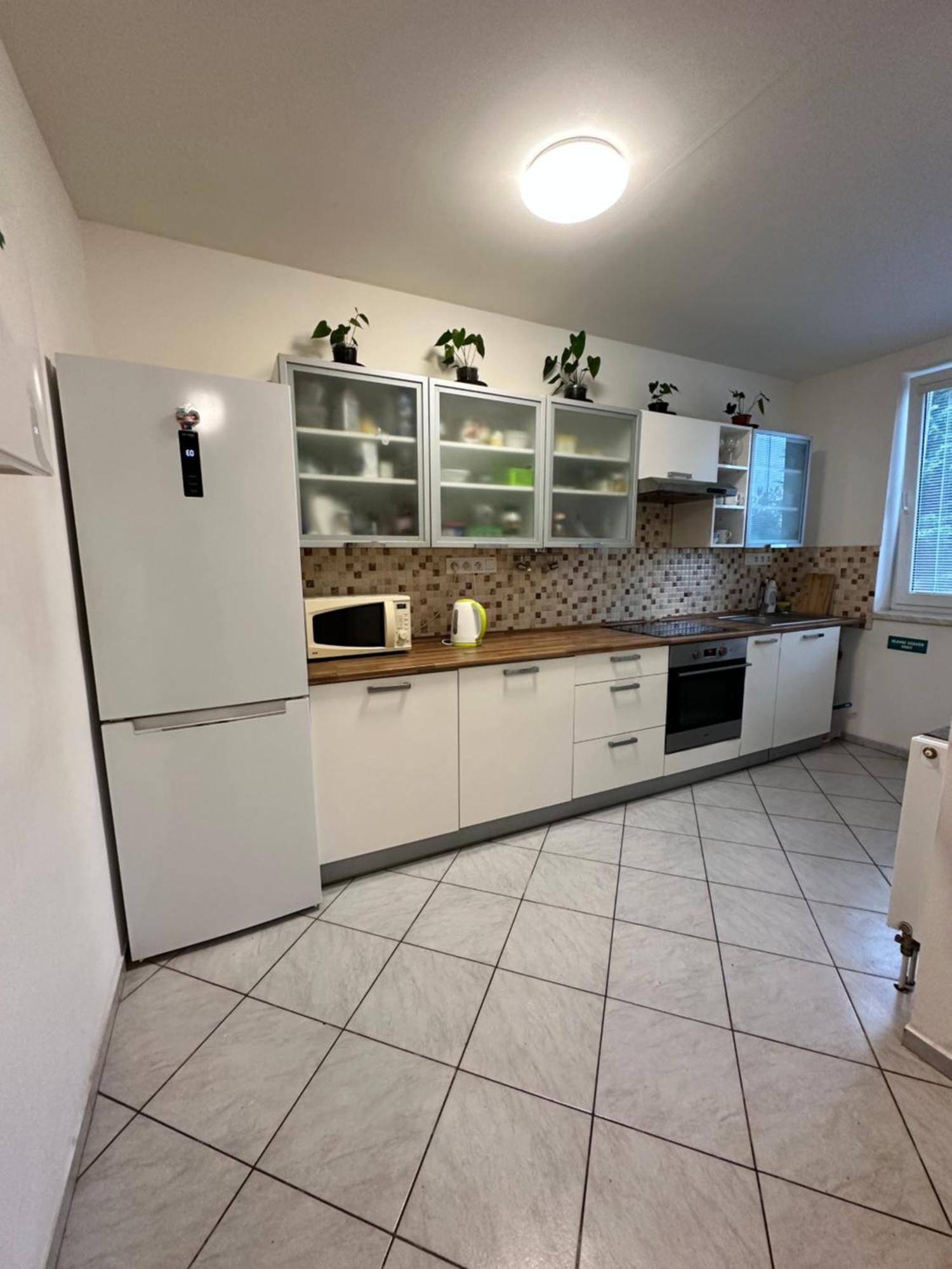 Penzion Pod Sklepy Apartment Novy Prerov Bagian luar foto